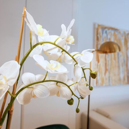 Tirso Suite Madrid Ngoại thất bức ảnh
