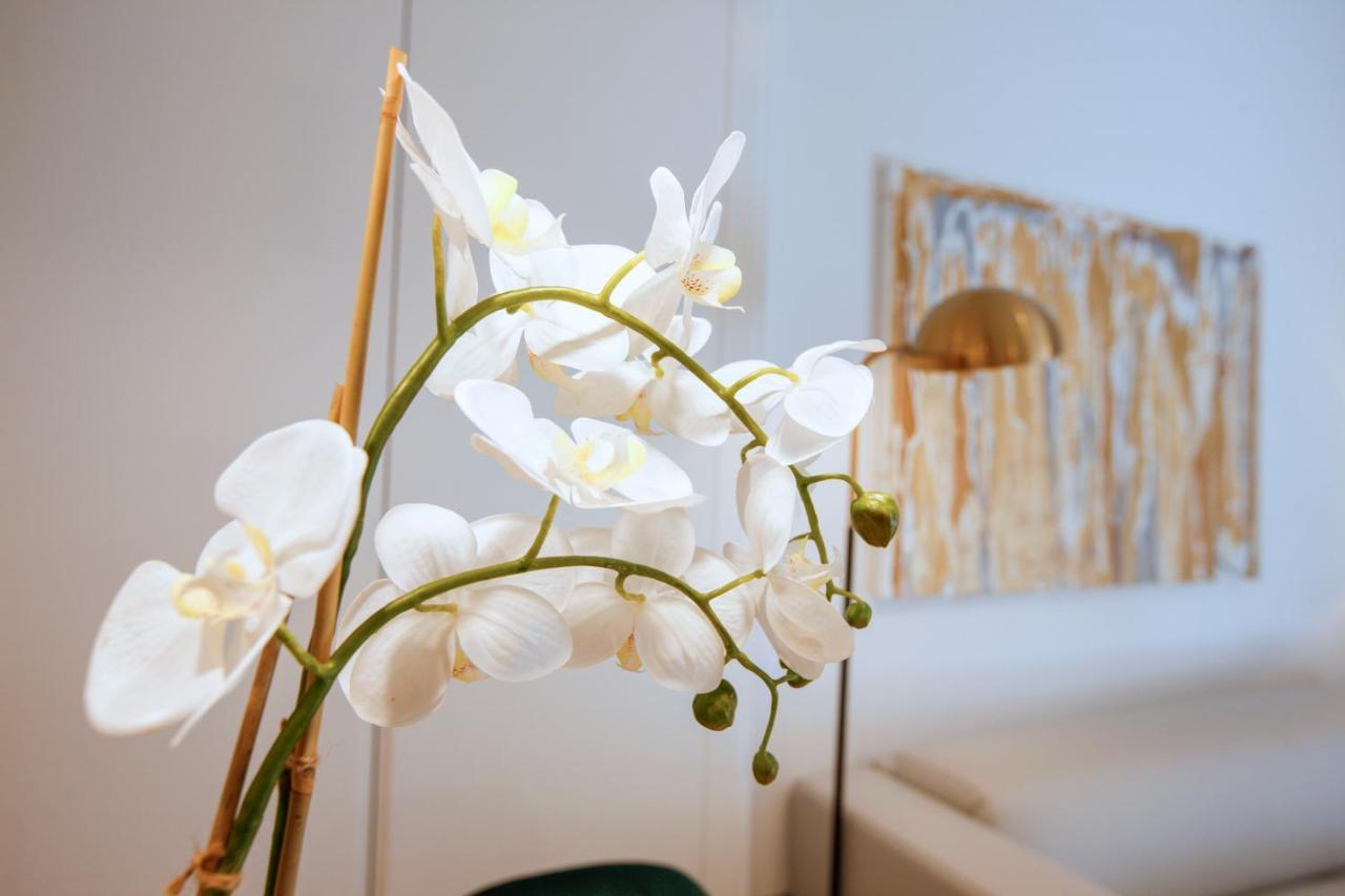 Tirso Suite Madrid Ngoại thất bức ảnh
